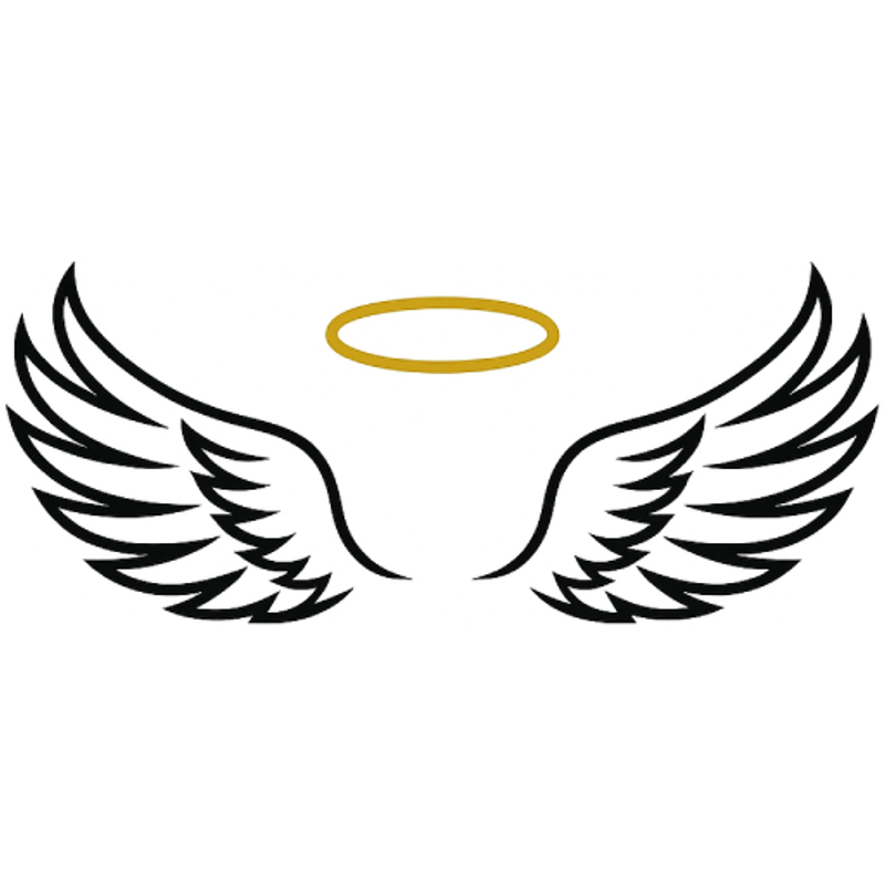 Silvara Systems Logo
