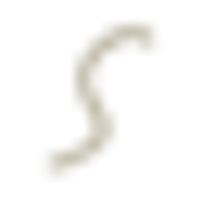Singita Management Logo