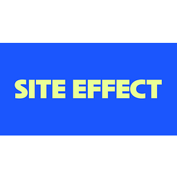 Site Effect Logo