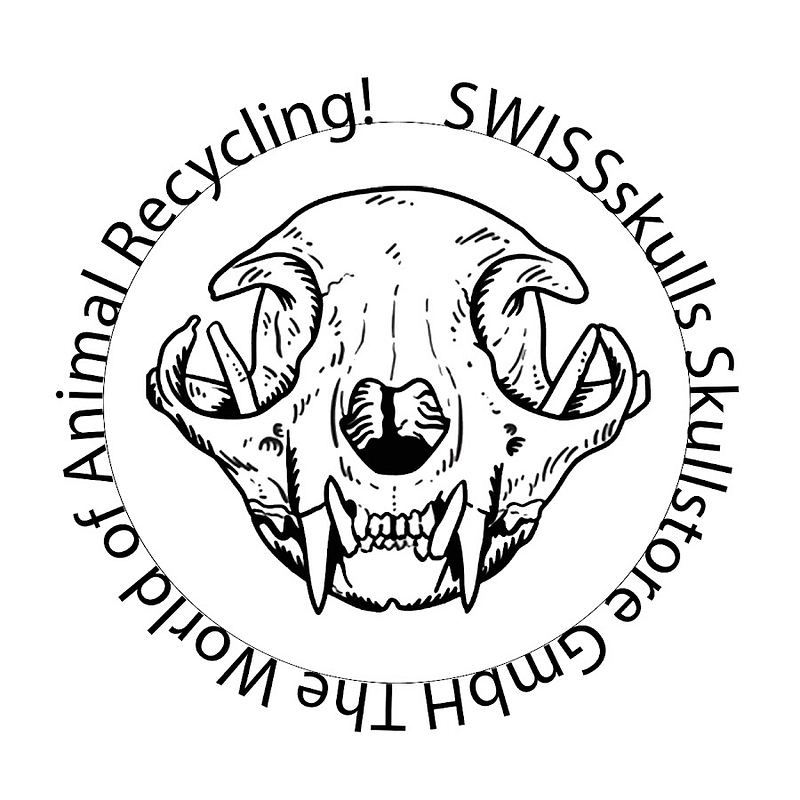 Skullstore GmbH Logo