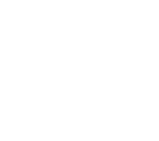 Skyvacations Logo