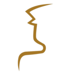 Swiss Limousine & Conciergerie SA Logo