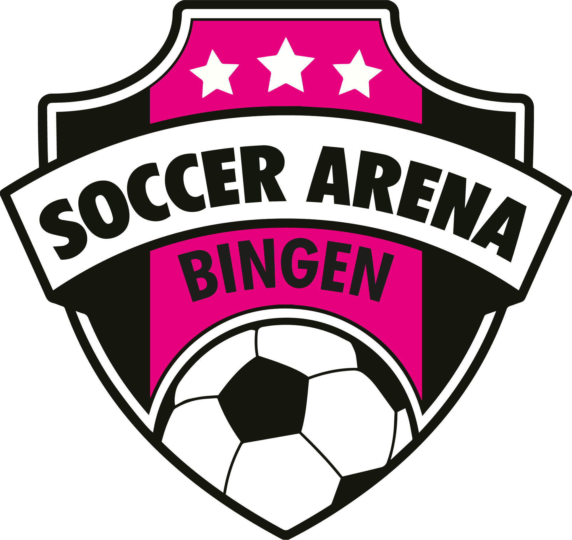 Soccer Arena Logo