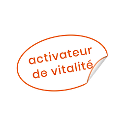 Soleil Vie Logo