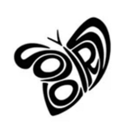 Solo Air Logo