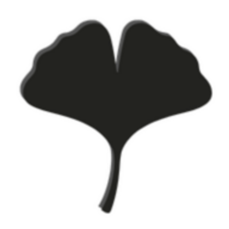 Soul - Laser & Aesthetic Logo