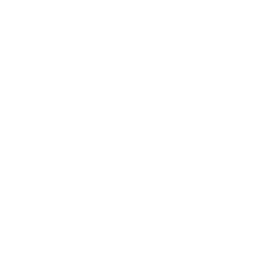 Soul Touch Motion Logo