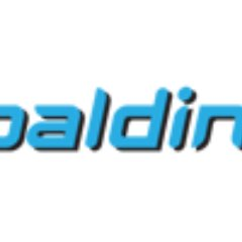 spaldingtaxis.com Logo