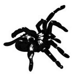 spidersworld.eu Logo