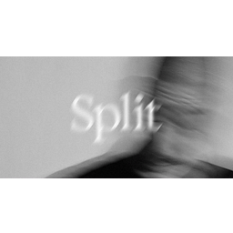 Splitwatches Logo