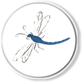 Spreewaldhaus Libelle Ferienhaus Logo