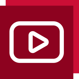 SSVID.NET Logo