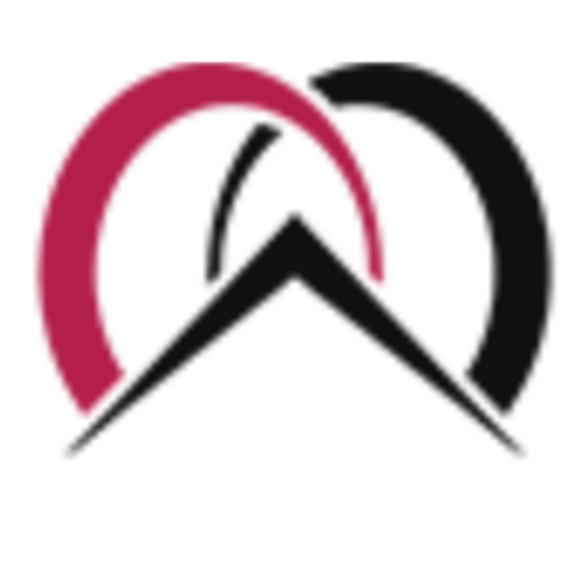 Stadelmann & Partner Immobilien AG Logo