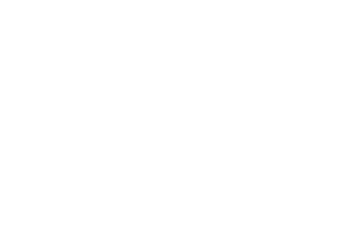 STARFOLIA Scheibentönungsservice Logo