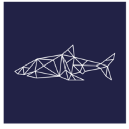 Stark Strom24 Logo