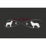Starofinfinity Logo