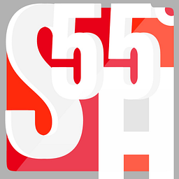 HOSTING-STATION55 Logo