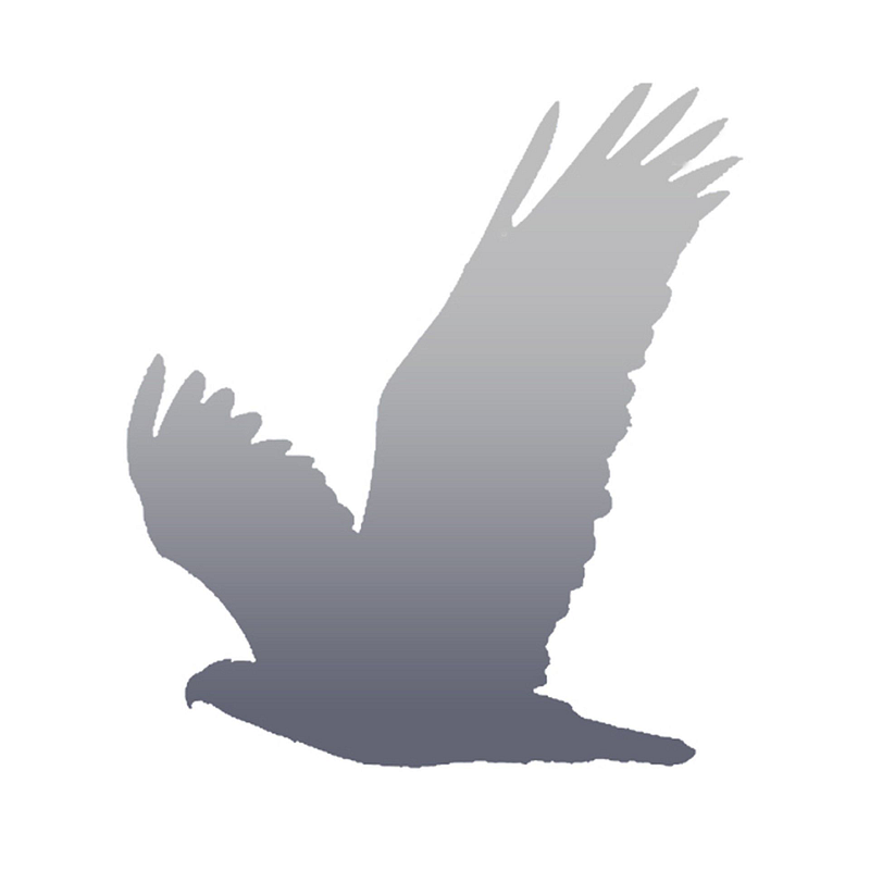Stb Peseschkian Logo
