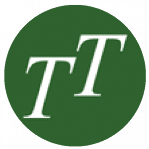 Thiriot Thomas Dipl.-Betriebsw. Steuerberater und Wirtschaftsprüfer Logo