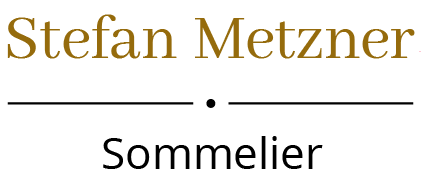 Metzner Stefan Logo