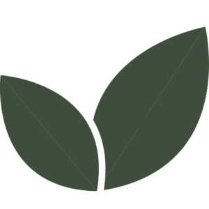 Pingel Steffi Logo