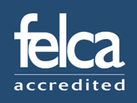 Steinfels Logo