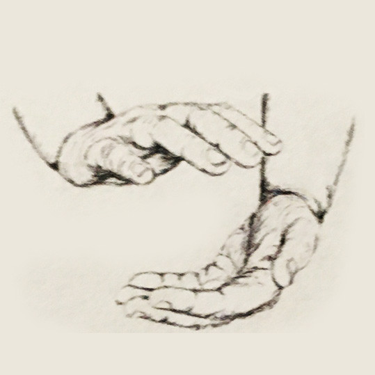 Steinke Andrea Logo