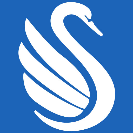 Steinsträßer Lars Prof. Logo