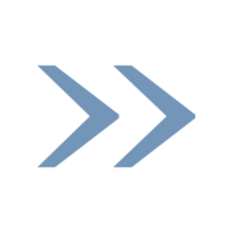 Stephan Niehaus Logo