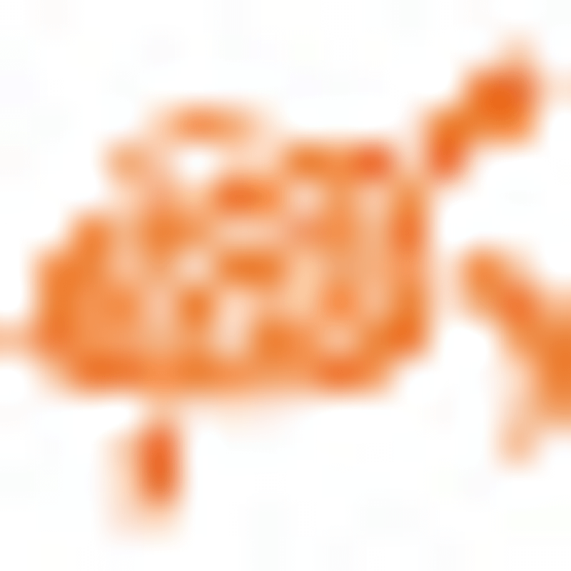 Stephanies Wellness Oase Logo