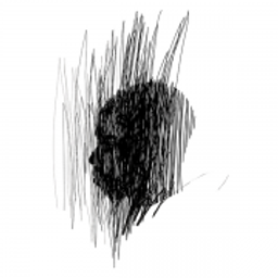 The Stephen Wiltshire Gallery Logo