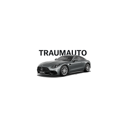 STERNAUTO Logo