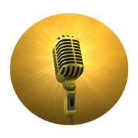 Stimme zum Beruf Logo