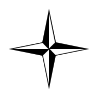 Stone Island Logo