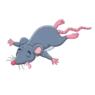 Stop Rodent Logo