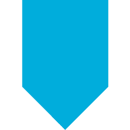 StorageCraft Logo