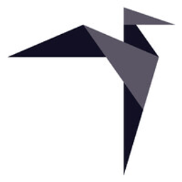 straightvisions Logo