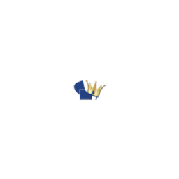 strandkorb-king.de Logo