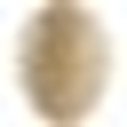 strauss-feder.de Logo