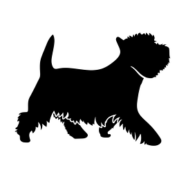 straussensehnen.de Logo