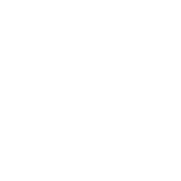 Studio Lienne Logo