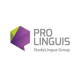 StudyLingua Logo