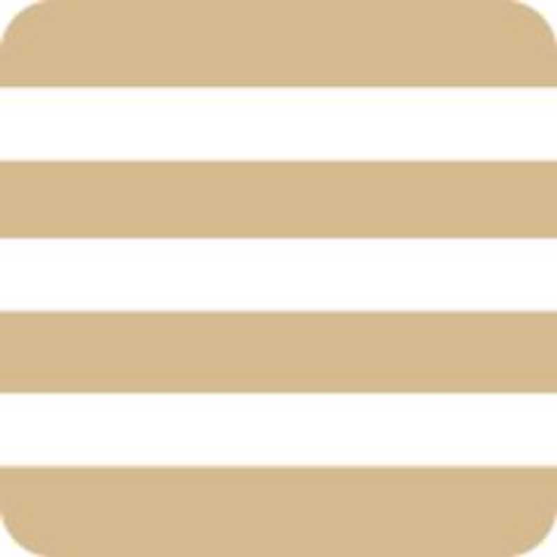 STUFF Shop Logo
