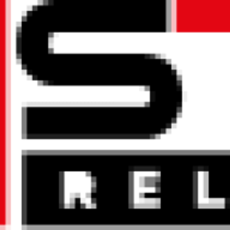 Sturm Relocations GmbH Umzugsunternehmen Nürnberg Logo
