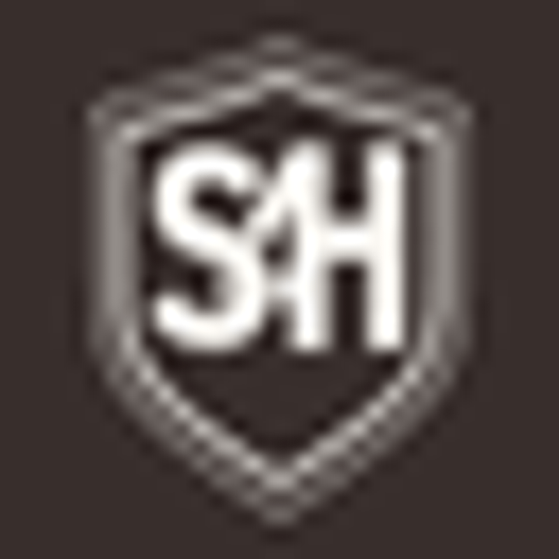 Style4Him Logo