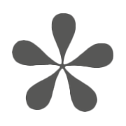 Styleloox Logo