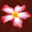 Thaimassage Sukon Logo