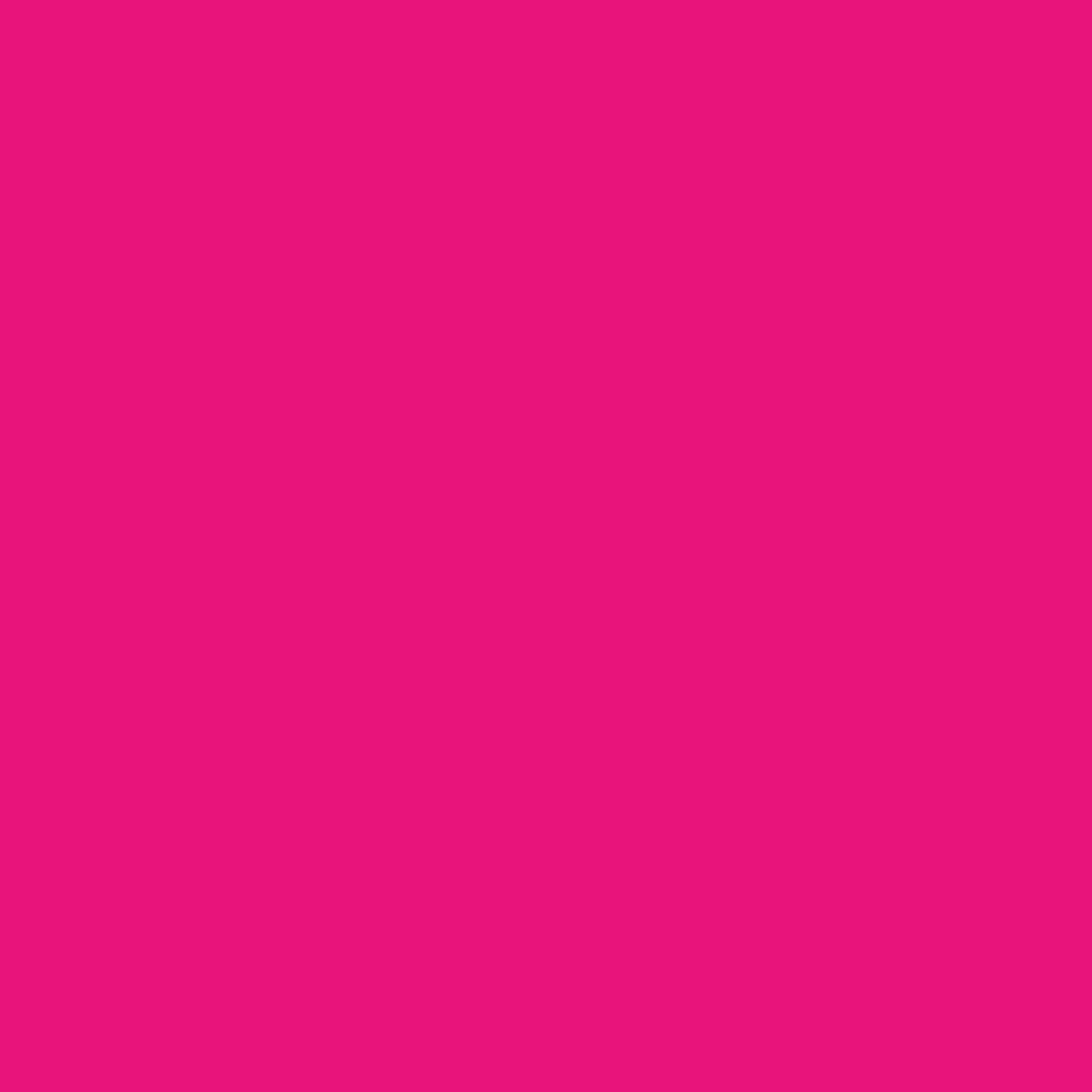 susmies Logo