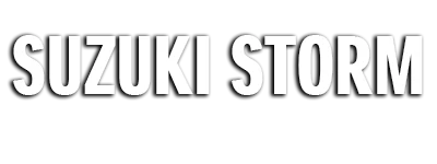 Storm, Reiner Suzuki Vertragshändler Logo