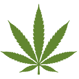 Svapo Logo
